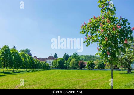 Abbazia di Salem Salem Bodensee, Lago di Costanza Baden-Württemberg Germania Foto Stock