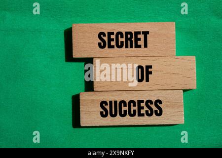 Parole "segreto del successo" scritte su blocchi di legno con sfondo verde. Simbolo del segreto concettuale del successo. Copia spazio. Foto Stock