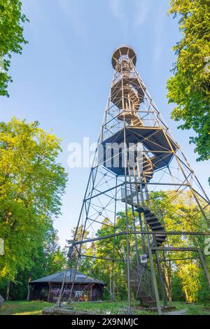 Torre di osservazione Wanne Villingen-Schwenningen Schwarzwald, Foresta Nera Baden-Württemberg Germania Foto Stock