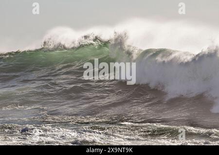 In cima a una grande onda verde dell'oceano con primo piano di spighe Foto Stock