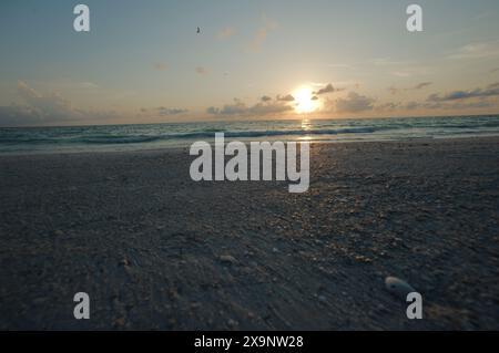 Ampia vista della spiaggia Pass-a-Grille di St. Pete Beach, Florida, guardando a nord-ovest. Ampia sabbia e onde in acqua, vicino al tramonto con acqua blu Foto Stock