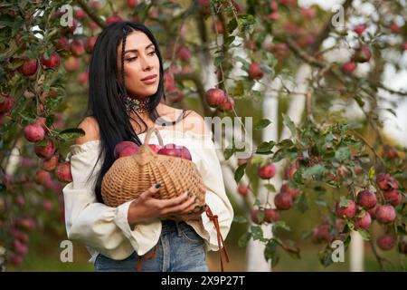 Simpatica contadina con mele appena raccolte nel cestino. Ritratto di una donna premurosa in una splendida camicetta bianca che raccoglie frutta matura all'inizio della stagione autunnale all'aperto. Agricoltura, concetto di giardinaggio Foto Stock