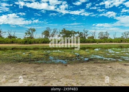 Splendido paesaggio sul fiume Khwai, Botswana Foto Stock