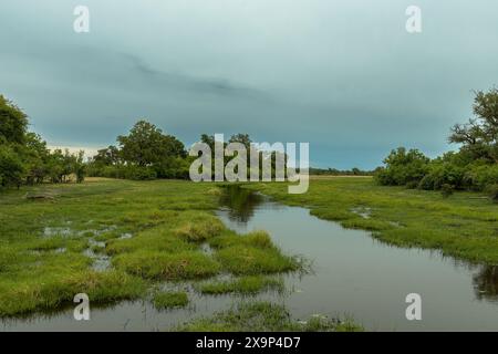 Splendido paesaggio sul fiume Khwai, Botswana Foto Stock