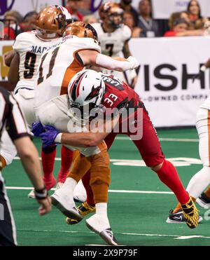 Jacksonville, Florida, Stati Uniti. 1 giugno 2024. Indoor Football League, Jacksonville Sharks vs Arizona Rattlers. Sharks LB Chase Lasater (33) colpisce Rattlers QB Dalton Sneed (11) dopo aver rilasciato il passaggio. Foto: Tim Davis/Alamy Live News Foto Stock