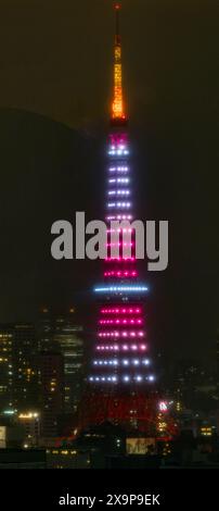 Ripresa verticale della torre eiffel adornata da luci colorate contro il cielo notturno Foto Stock