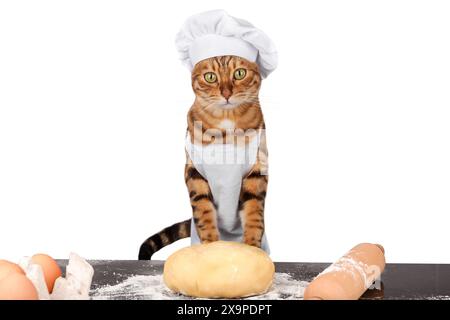 Il gatto è un fornaio in grembiule e un cappello con impasto. Il gatto sta preparando del cibo. Foto Stock