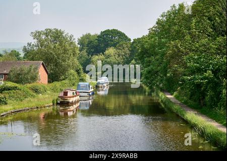 Barche ormeggiate sul canale Lancaster a Garstang, Regno Unito Foto Stock