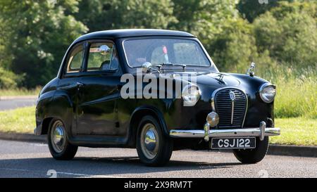 Stony Stratford, Regno Unito - 2 giugno 2024: 1955 Austin A30 nera sette auto classiche britanniche che guidano su una strada di campagna britannica Foto Stock