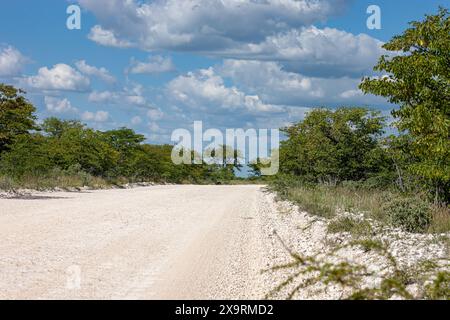 Namibia, regione di Erongo, Cape Cross, Road C34, Skeleton Coast, strade polverose Foto Stock