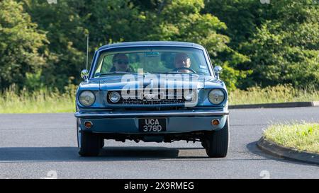 Stony Stratford, Regno Unito - 2 giugno 2024: 1966 Ford Mustang auto classica americana che guida su una strada di campagna britannica Foto Stock