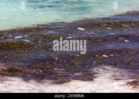 Involucri di plastica e altri rifiuti galleggianti sulla riva di un oceano tropicale Foto Stock