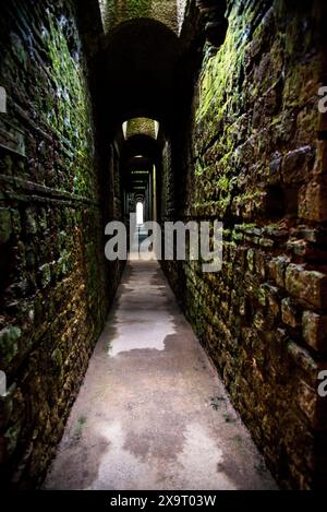 Bagni Imperiali di Treviri, Germania. Foto Stock