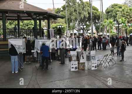 Tijuana, bassa California, Messico. 2 giugno 2024. I messicani hanno espresso il loro voto al parco Teniente Guerrero durante le elezioni generali del Messico a Tijuana, bassa California, Messico domenica 2 giugno 2024. I messicani sono andati alle urne per eleggere la prima donna presidente dei tre candidati in corsa, le due prime donne sono Claudia Sheinbaum del partito di governo Morena e Xochitl Galvez della coalizione di opposizione, entrambe le donne mirano a fare la storia in un paese in cui la violenza di genere e la disuguaglianza sono la norma. (Credit Image: © Carlos A. Moreno/ZUMA Press Wire) USO EDITORIALE ONL Foto Stock