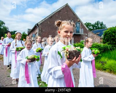 Le ragazze tengono in mano cesti di frutta finta durante la "Boxmeerse Vaart", l'antica processione del Sacro sangue. La "Boxmeerse Vaart" è un'antica processione del Sacro sangue. La tradizione dice che un sacerdote dubitava della conversione del pane e del vino nel corpo e nel sangue di Cristo. Migliaia di persone hanno partecipato alla processione, una tradizione per quasi 625 anni. Il sangue soffiava sul calice e una goccia rimase sul caporale (panno bianco) dopo che il sacerdote riconobbe il suo errore. Questo tessuto è stato conservato e conservato nel reliquiario d'argento ed è portato lungo nel Boxmeerse Vaart. Foto Stock