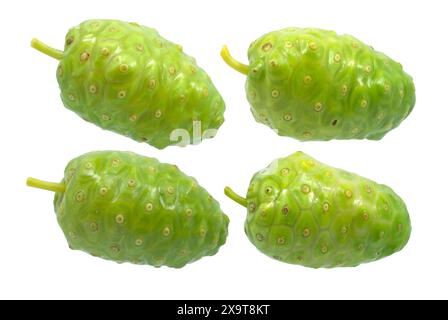 Il Noni o Morinda frutti isolati su sfondo bianco Foto Stock