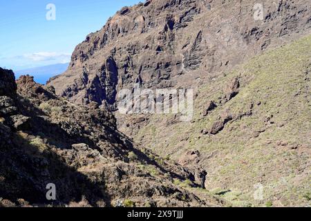 Villaggio di montagna Masca, Gola di Masca, Montagne Montana Teno, Tenerife, Isole Canarie, Spagna, Europa, rocce e ripide montagne in una gola Foto Stock