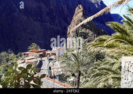 Villaggio di montagna Masca, Gola di Masca, Montagne Montana Teno, Tenerife, Isole Canarie, Spagna, Europa, Gola con palme e case lungo una roccia Foto Stock