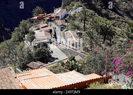 Villaggio di montagna Masca, Gola di Masca, Montagne Montana Teno, Tenerife, Isole Canarie, Spagna, Europa, Un piccolo villaggio con palme e sentieri di pietra Foto Stock