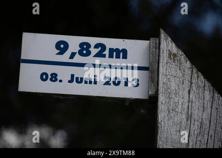 Palo in legno con altura dell'Elba, Hohenwarthe, Sassonia-Anhalt, Germania Foto Stock