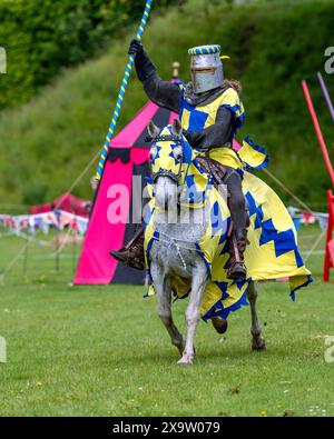 Sir David in sella al suo cavallo da guerra al Joust, Cardiff, Regno Unito. 15 giugno 2019 Foto Stock