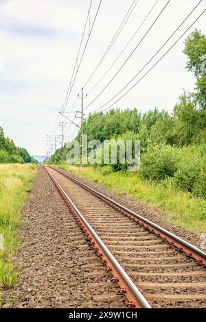 Ferrovia con fili elettrici attraverso una foresta verde decidua in estate Foto Stock