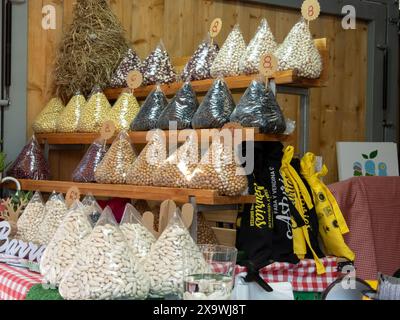 OVIEDO, SPAGNA - 10 MAGGIO 2024: Varietà colorata di fagioli asturiani nella giornata della Fiera dell'Ascensione a Oviedo, Asturie, Spagna. Faba Asturiana. Foto Stock