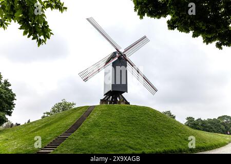 Il mulino Bonne Chière a Bruges, Fiandre, Belgio Foto Stock