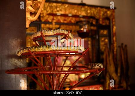 Snake Temple a Penang in Malesia. Foto Stock