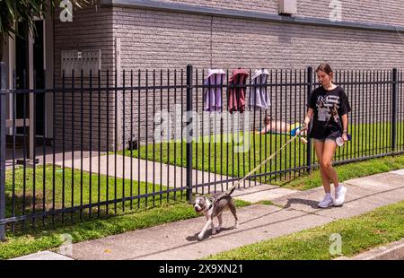 Una giovane ragazza cammina il suo cane di fronte a una casa dove un uomo sta prendendo il sole sul prato e 3 cime di forma e design identici, ma colori diversi sono appesi al recinto. Foto Stock