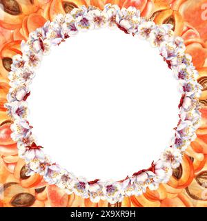 Cornice rotonda di frutta di albicocche mature arancio-rosa con foglie verdi, fossa marrone. Illustrazione ad acquerello con colore albicocca alla moda per il giorno del raccolto Foto Stock