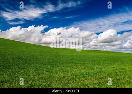 Paesaggio collinare ondulato, Castiglia e León, Spagna Foto Stock