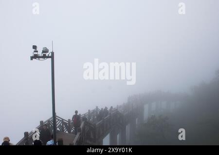 Cinesi viaggiatori stranieri visitano a piedi su una strada in legno o un sentiero in legno lungo un ponte nella Ghost Valley fino alla grotta Guigu nella Tianmen National Forest P. Foto Stock