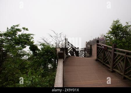 I viaggiatori cinesi viaggiano a piedi su una strada in pianura o su un sentiero in legno nella Ghost Valley fino alla grotta di Guigu nel parco nazionale della foresta di Tianmen Shan Foto Stock