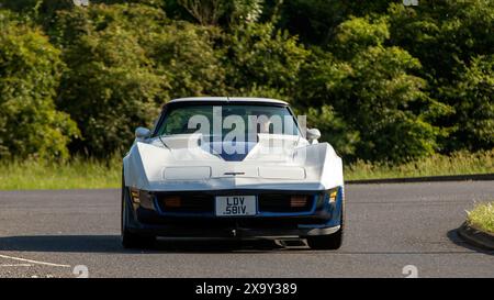 Stony Stratford, Regno Unito - 2 giugno 2024: 1980 Chevrolet Corvette, classica auto americana bianca, che guida su una strada di campagna britannica Foto Stock