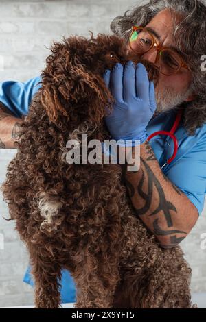 Un uomo caucasico veterinario che vaccina un cane Foto Stock