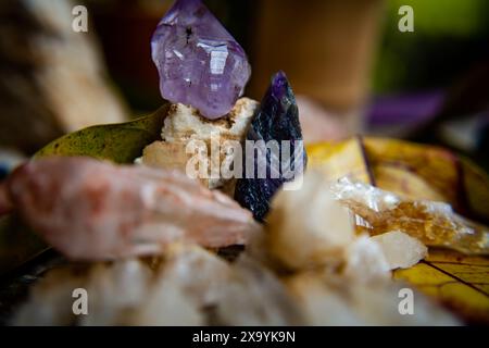 Un cristallo viola circondato da rocce e conchiglie su un piatto Foto Stock