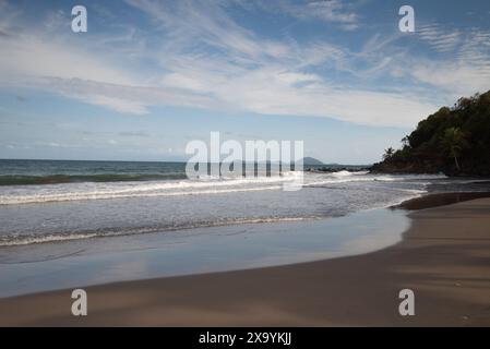 Una tranquilla spiaggia con alberi e dolci onde che lambiscono la riva Foto Stock
