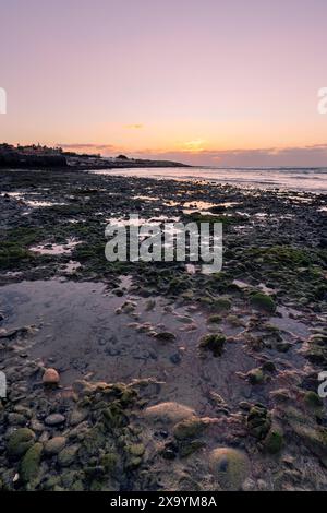 Un tramonto su una costa rocciosa Foto Stock