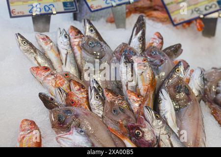 Vari pesci freschi esposti sul ghiaccio sul tavolo per la vendita in una rivendita o in un mercato ittico. Pesce di capra o triglia rossa, merluzzo e sogliola Foto Stock