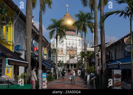 La Moschea del Sultano in Singapore Foto Stock