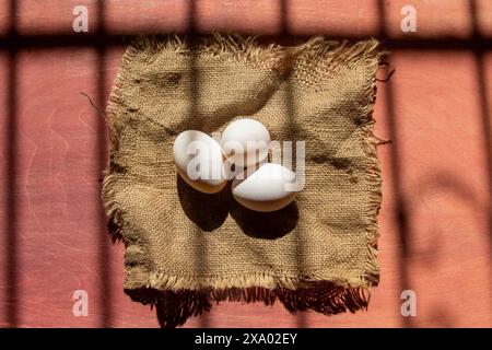 Vista dall'alto delle uova su un sacco alla luce del sole Foto Stock