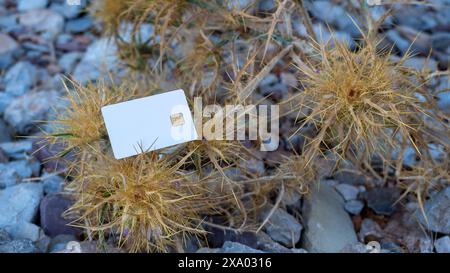 Nel paesaggio roccioso, si erge un cespuglio di spina acidito, adornato da carte bianche, creando un contrasto sorprendente tra la facilità della vita umana e. Foto Stock