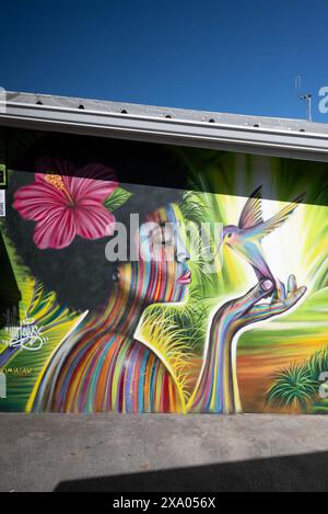 Murale colorato sull'esterno dell'edificio Foto Stock