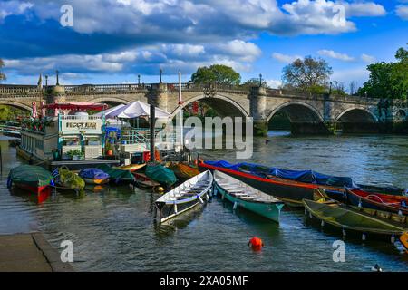 Barche a remi ormeggiate lungo il Tamigi, Richmond, Greater London, England, U. K Foto Stock