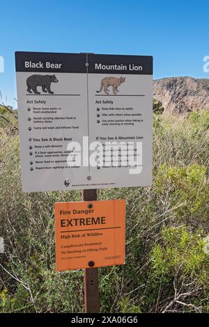Cartello segnaletico Texas, Big Bend National Park, Chisos Mountains, Black Bear e Mountain Lion Foto Stock