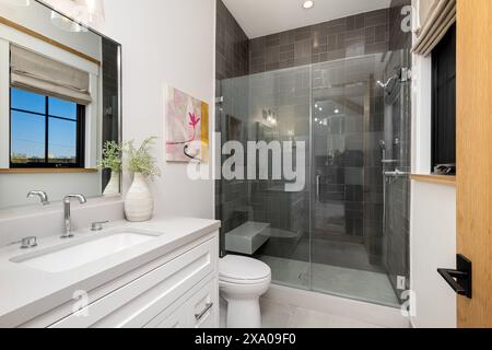 Un moderno bagno bianco con eleganti piastrelle nere Foto Stock