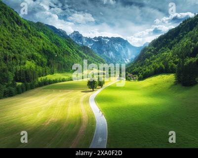 Vista aerea della strada in montagna, prati verdi, alberi al tramonto Foto Stock