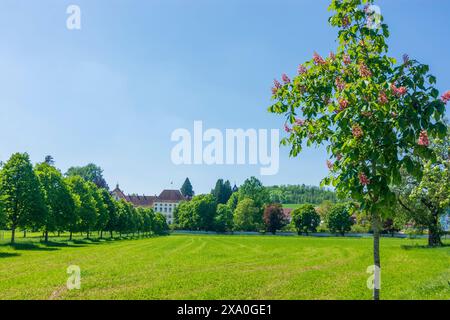 Salem: Abbazia di Salem a Bodensee, lago di Costanza, Baden-Württemberg, Germania Foto Stock