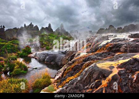 I suggestivi geyser di te Puia, Rotorua Geothermal Park, nuova Zelanda Foto Stock